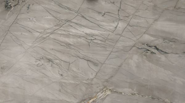 Bianco-Superior-Quartzite-Slab-Ter.jpg