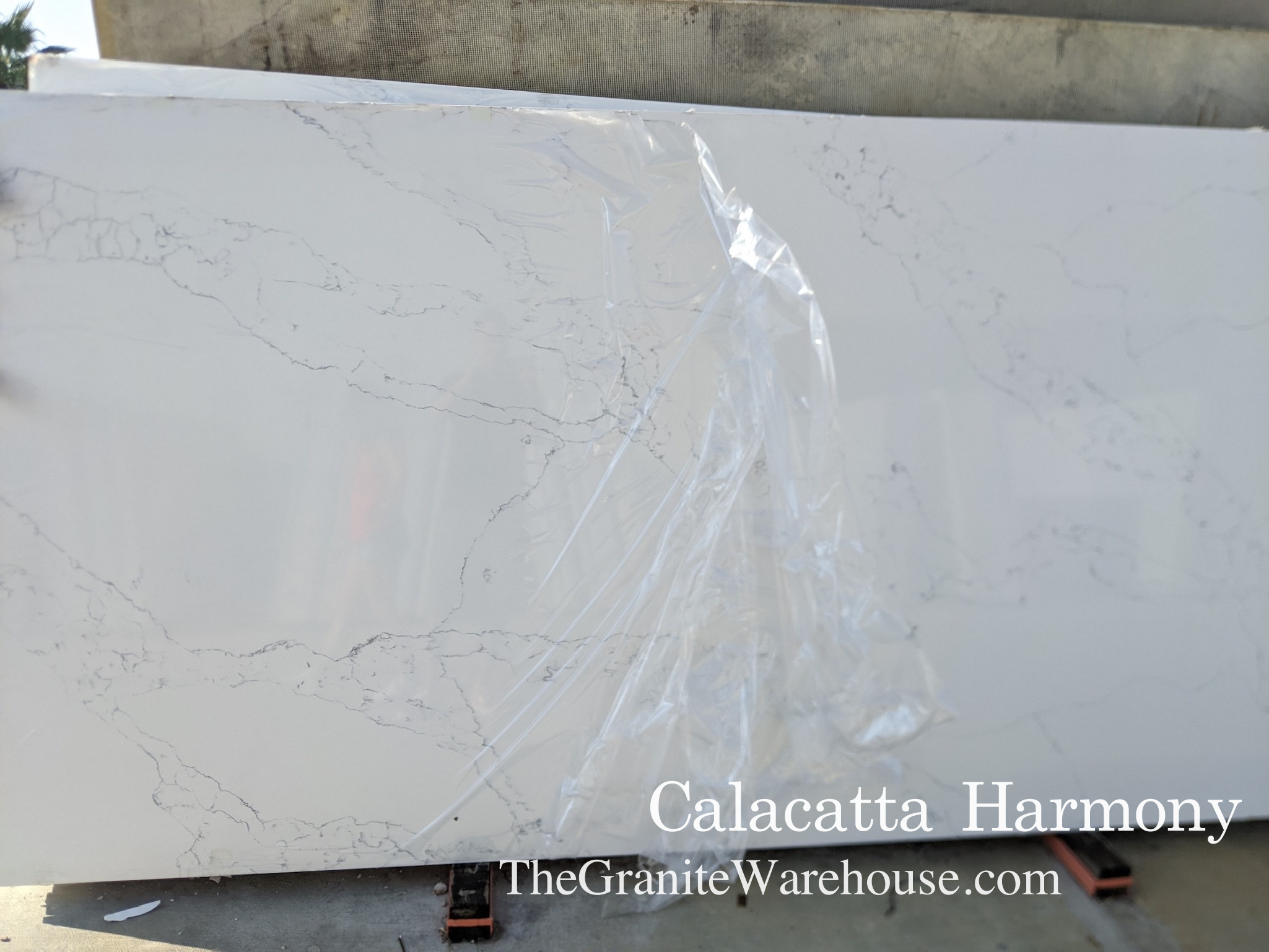 Calacatta-Harmony