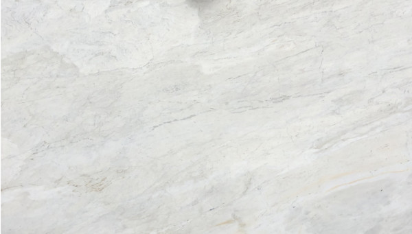Calacatta-Matarazzo-Quartzite-Slab-Ter.jpg